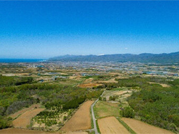 水田が広がる米どころ共和町