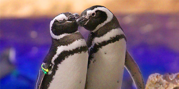 すみだ水族館