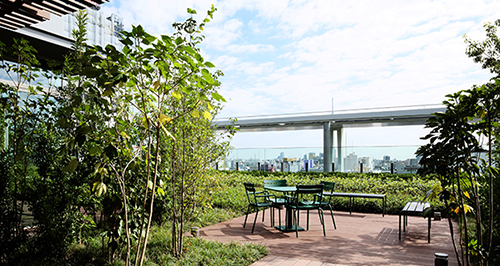 株式会社名門コンサルティング 屋上庭園とテラス