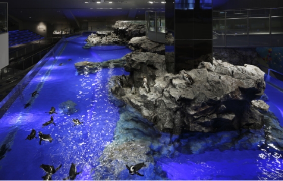 SUMIDA AQUARIUM