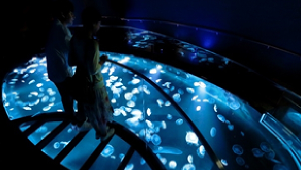 SUMIDA AQUARIUM