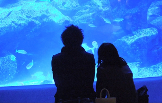 KYOTO AQUARIUM / SUMIDA AQUARIUM