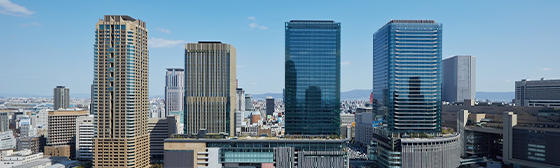Complex urban development