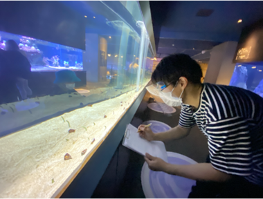 今年は11月11日の主役をめぐる