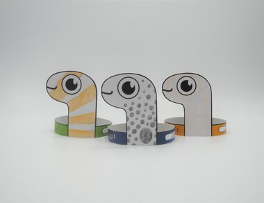 今年は11月11日の主役をめぐる