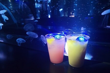 img_20230713_1_9.jpg