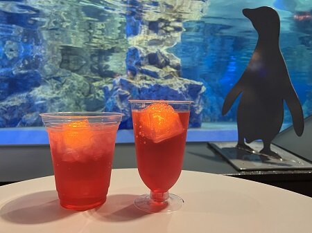 img_20230713_6.jpg