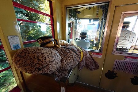 img_20230905_1_7.JPG