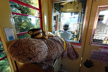img_20250822_12.jpg