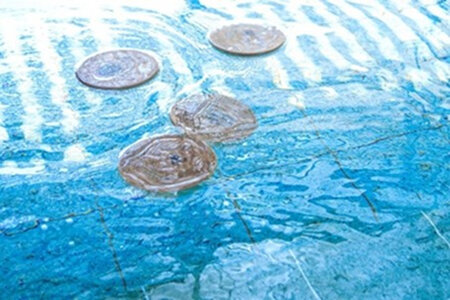 img_20260601_1_14.jpg
