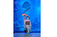 舞妓が「京の海」大水槽前で舞を披露「舞妓 -花の刻(とき)-」を7月16日（土）より開催