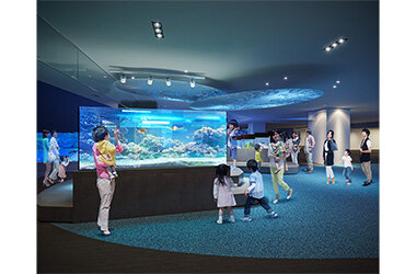 世界自然遺産 小笠原諸島にもっと近づく新常設展示「オガサワラベース」9月30日公開