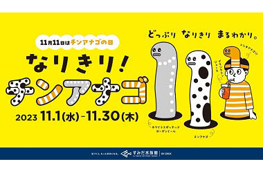 チンアナゴたちになりきって記念日をお祝いしようチンアナゴの日「なりきり！チンアナゴ」を開催