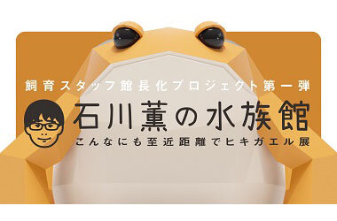 飼育スタッフ館長化プロジェクトの第1弾「石川薫の水族館～こんなにも至近距離でヒキガエル展～」