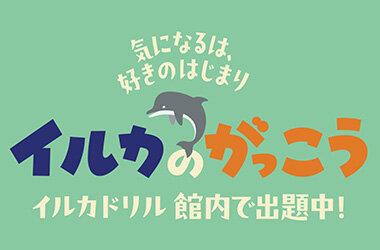 イルカスタジアムがまるで巨大問題集に!?「イルカのがっこう」Ver.2が7月19日（土）にスタート