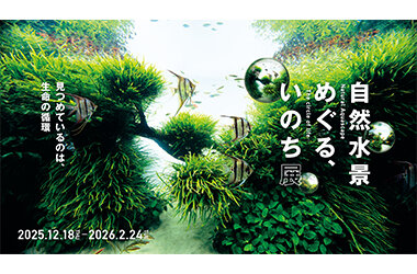 世界に誇るネイチャーアクアリウムの原点を見つめる「自然水景 めぐる、いのち展」開催