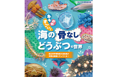 国立科学博物館巡回展が京都水族館へやってくる「キモかわすごい！海の骨なしどうぶつの世界」開催