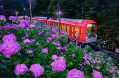 箱根登山電車「夜のあじさい号」6月13日（土）運行開始強羅駅にて、旅館ならではのおもてなしで来訪者を歓迎